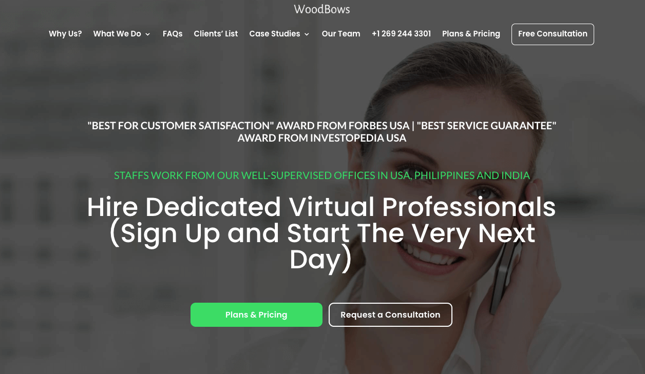 Hire Virtual professionals